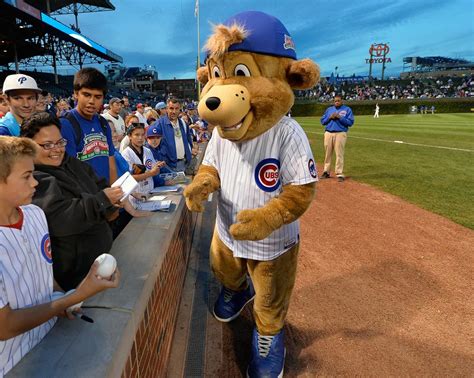 Exploring the cultural significance of the Cubs mascot